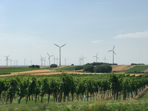 Comment organiser une visite des vignobles du Bordelais en France?